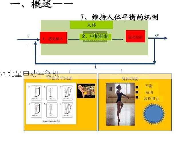 在选择平衡机时应该注意哪些关键特性 - 河北星申动自动化设备有限公司