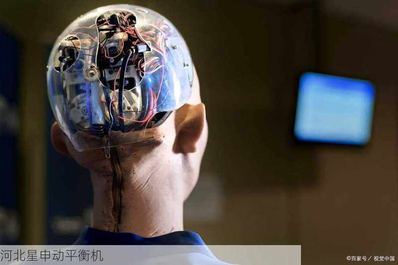 脑机接口控制平衡机？神经信号驱动的自适应调节实验
