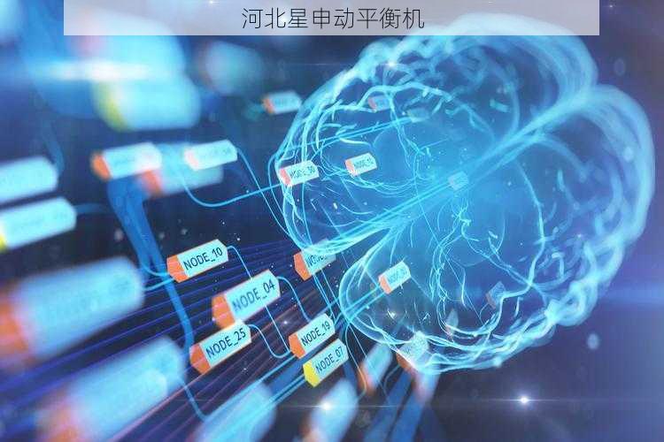植入式医疗转子平衡：人体内生物相容性验证报告