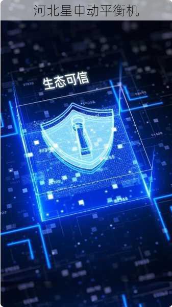 平衡机区块链服务：数据安全与可信交易