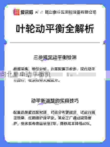 市场叶轮动平衡机销售厂家优选指南：专业供应与技术支持解析