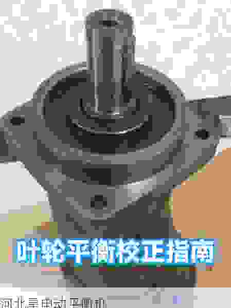 探索叶轮平衡机制造领域的行业标杆：揭秘知名厂家如何塑造精密平衡新标杆
