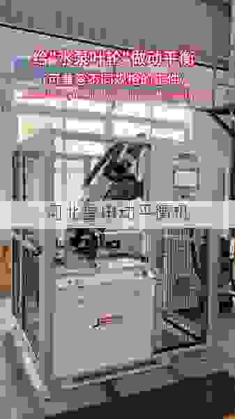 专业叶轮全自动平衡机供应商：星申动精准技术，助您高效生产