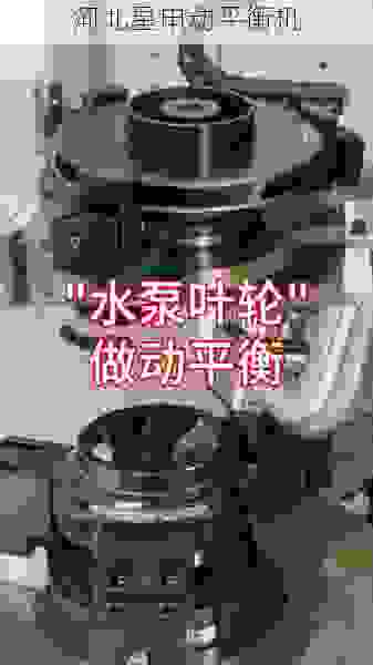 专业级叶轮全自动平衡机企业：技术、品质与效率的***融合