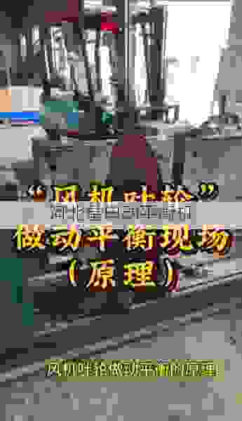 高效精工,星申动***叶轮全自动动平衡机品质新标杆